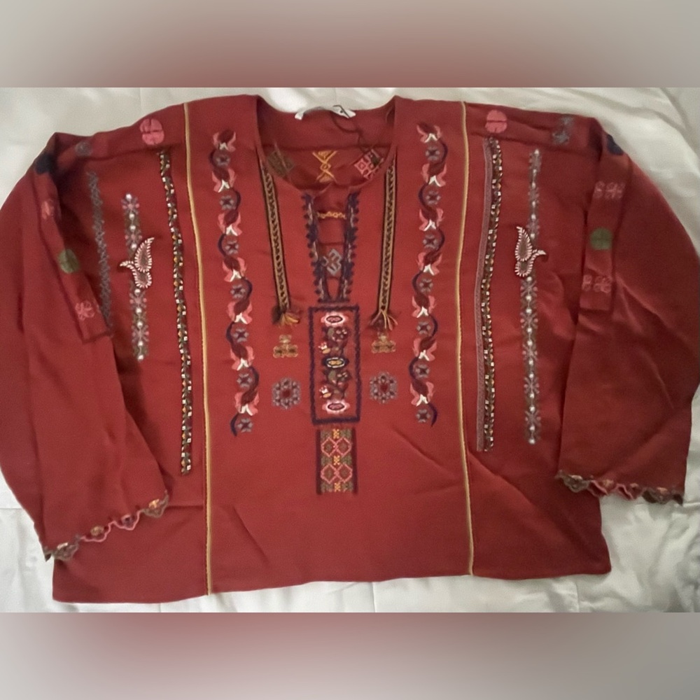Zara NWOT boxy embroidered v neck top